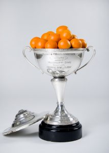 The 1941 Orange Bowl trophy.